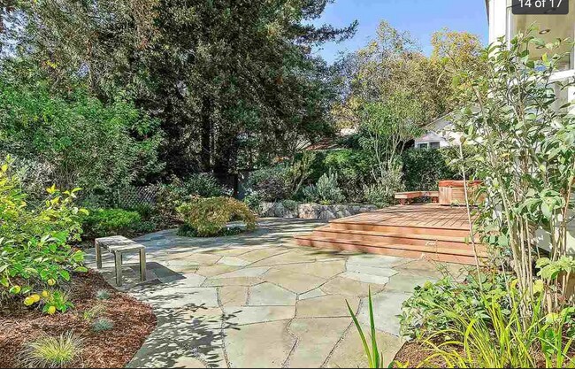 backyard - 1076 Euclid Ave