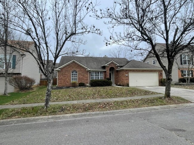 Building Photo - 821 Palomino Ln