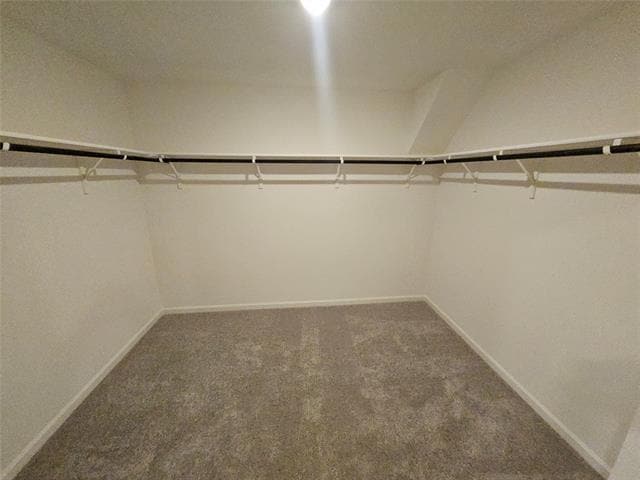 Building Photo - 4908 Mccoy Dr