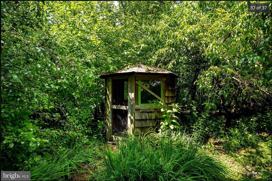 backyard - 210 Mannion Ave