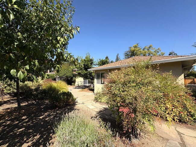 Building Photo - Modern Oasis in the Heart of Los Altos – U...