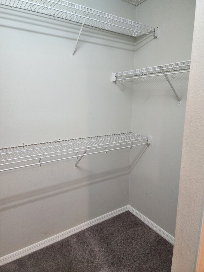 Building Photo - 4/2 Contemporary Style house