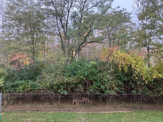 Building Photo - 6431 Deerhurst Dr