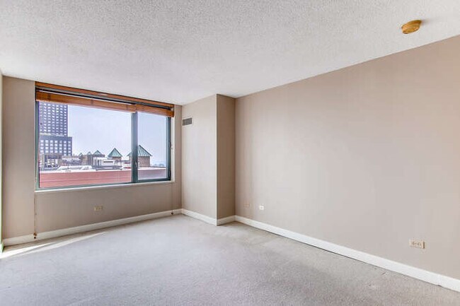 Building Photo - 480 N McClurg Ct