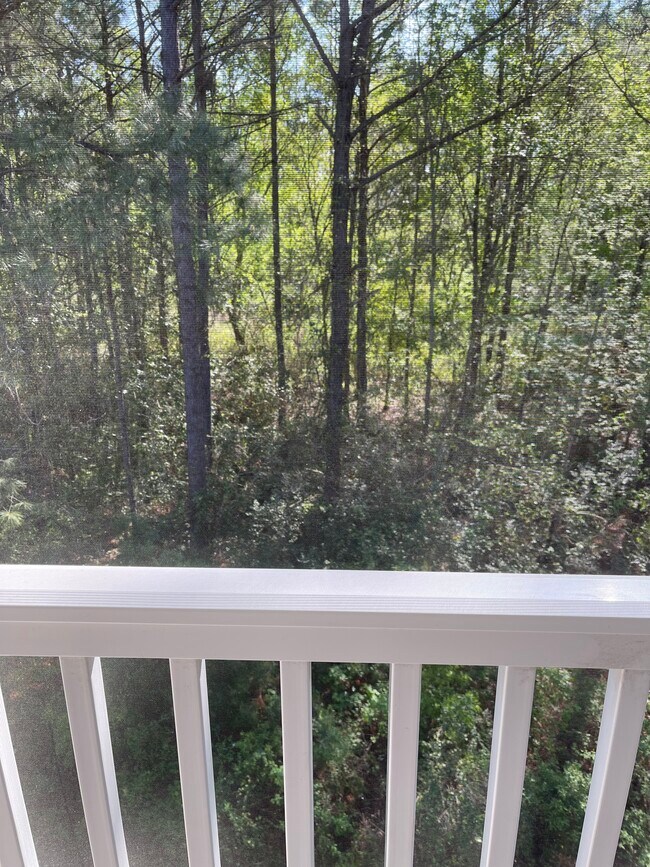 Building Photo - 4826 Innisbrook Ct