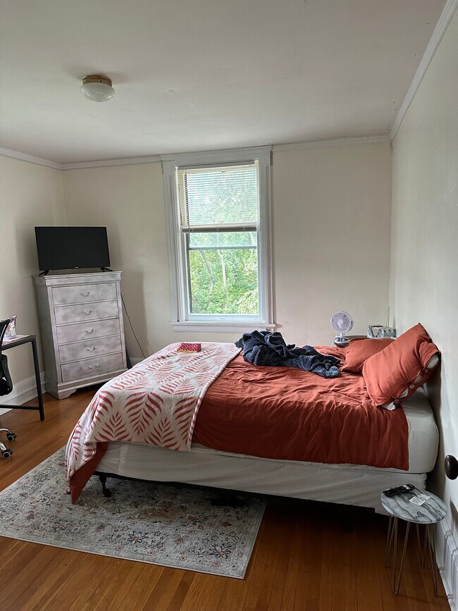 Primary Photo - 209 Hudson St