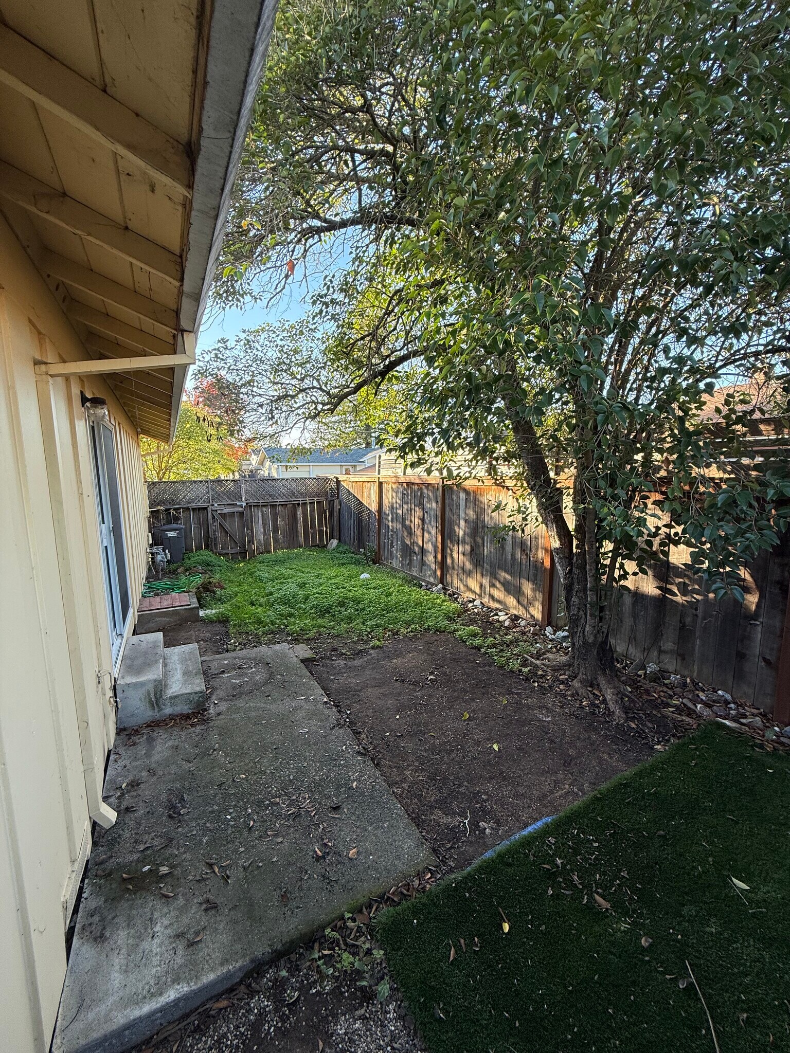 back yard - 1240 Martha Way