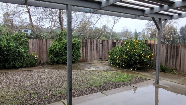 Building Photo - Beautiful Point Loma Single Story Home