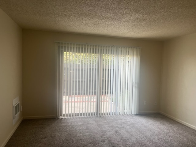 Slider access to rear yard - 777 Mill St
