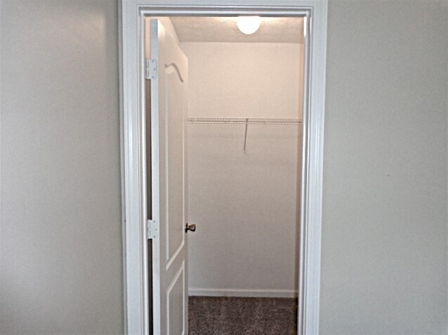 Building Photo - 3705 Sidda Way