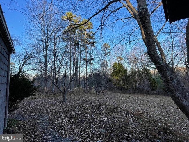 Building Photo - 59 Angel Kiss Ln