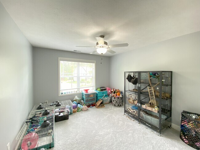 Building Photo - 351 Maplewood Dr