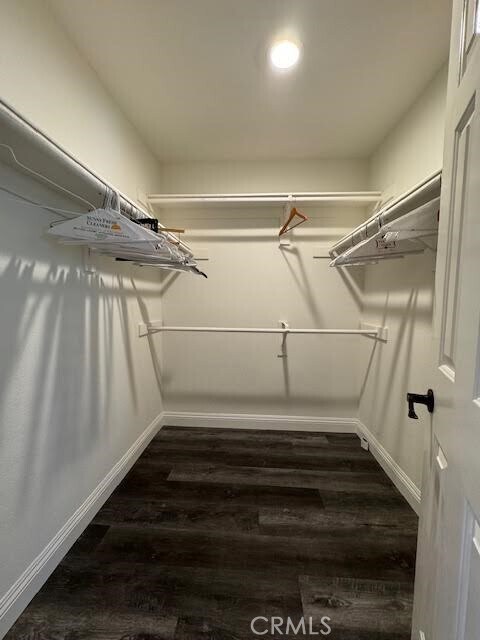 Building Photo - 539 S Cinnamon Way