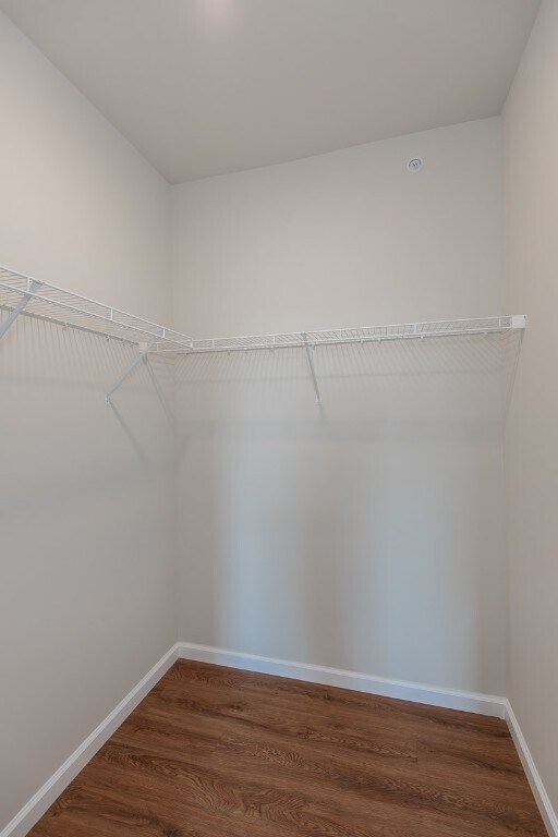 Building Photo - 137 Harmony Mdws Ct