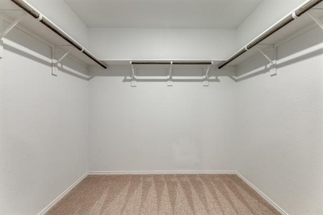 Building Photo - 2808 Slatewood Dr