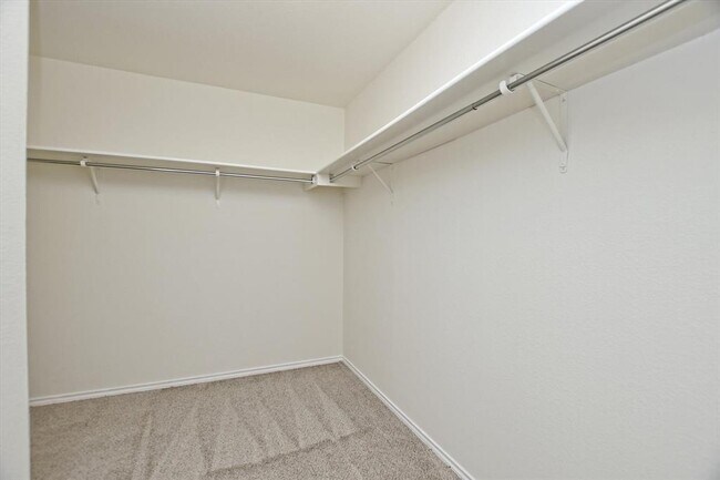 Building Photo - 102 Blanco Woods Blvd