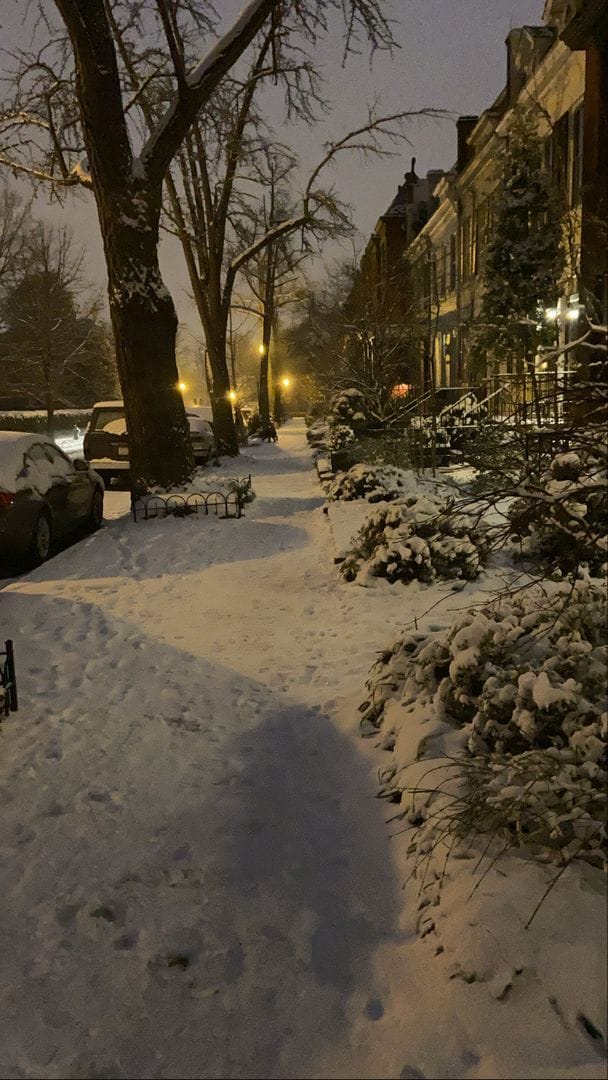 Building Photo - Charming Home Right Across From Montrose Park