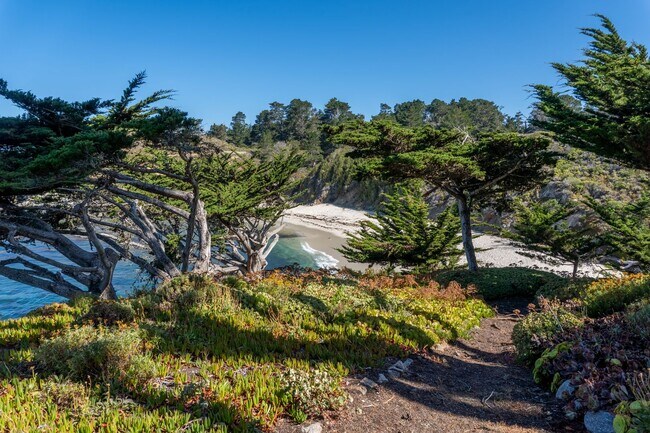 Building Photo - Bonnie's Point | Home Next to Point Lobos State Natural Reserve