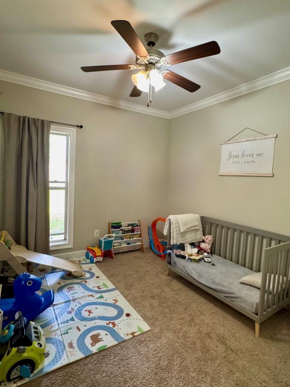 Building Photo - 222 Buttonwood Ln