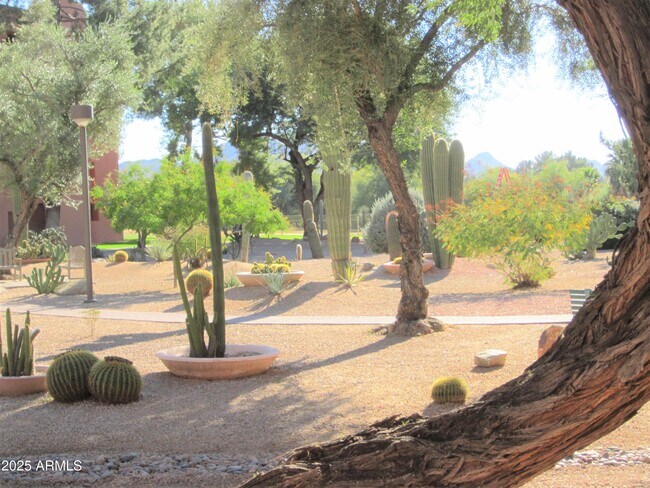 Building Photo - 4303 E Cactus Rd