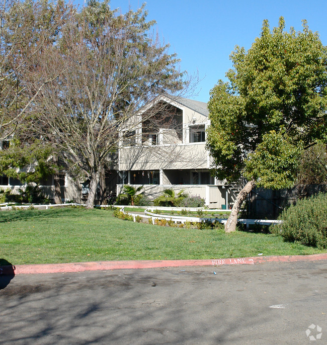 Building Photo - Continental Apartments