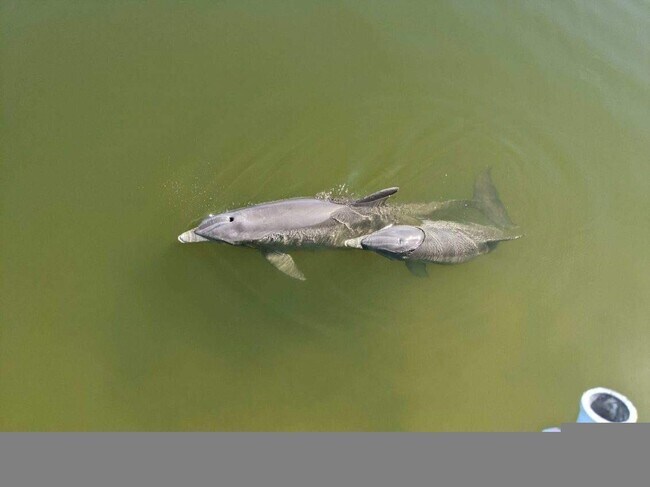 Building Photo - 560 Paula Ave