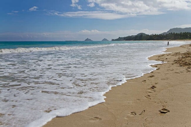 Building Photo - Sustainable Coastal Lifestyle: 2BR House with PV Solar Near Beach