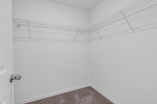 Building Photo - 2833 Moonshadow Ct