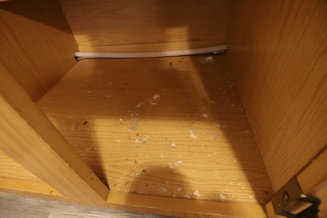 Building Photo - 257 Canby St