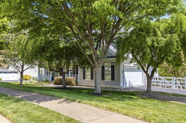 Building Photo - Woods at Louviers Colonial - Available June 1