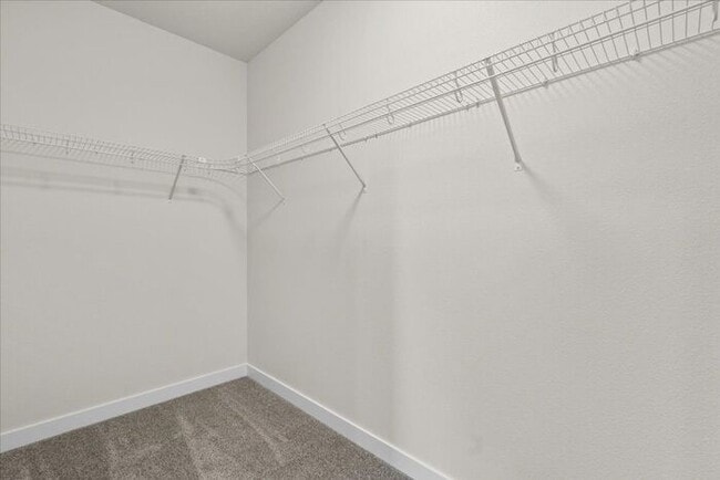 Building Photo - Newly Constructed Home with Spacious Layout