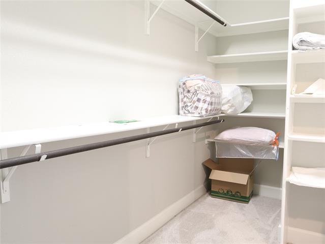 Building Photo - 1720 Conifer Ct