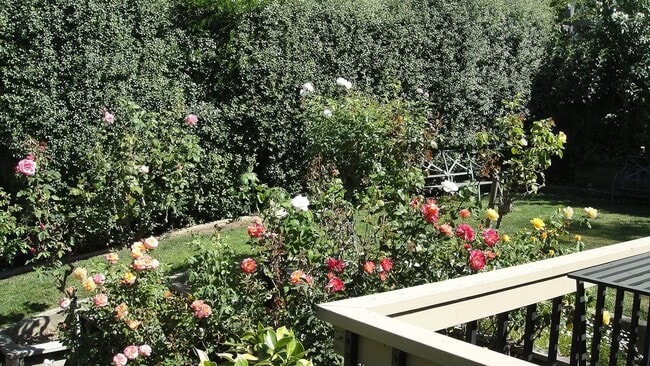 Building Photo - Lovely spacious home, dual levels, Cuperti...