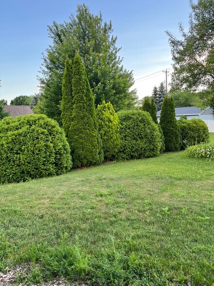 Back yard - 7811 S Burdick Ave