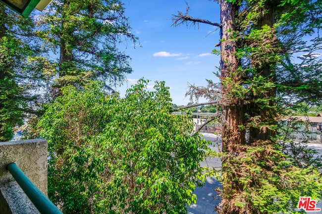 View from the Windows - 7800 Topanga Canyon Blvd