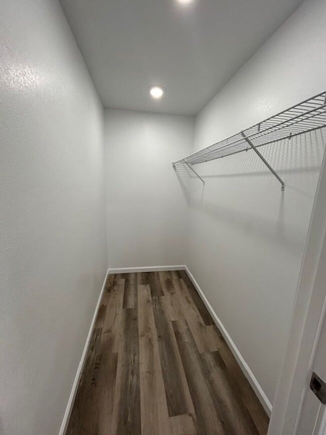 Building Photo - Super Cute Studio