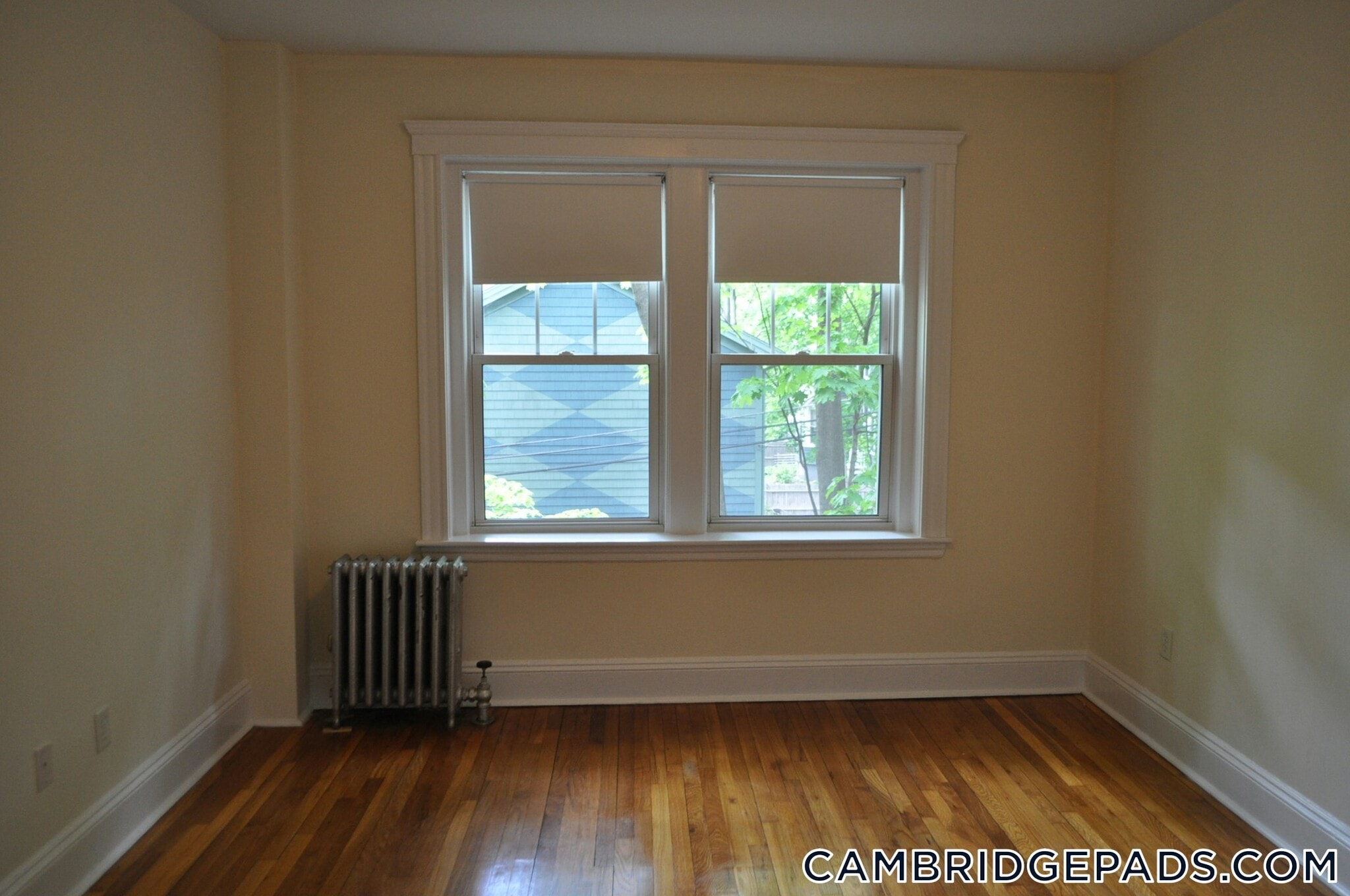 Building Photo - 19 Wendell St