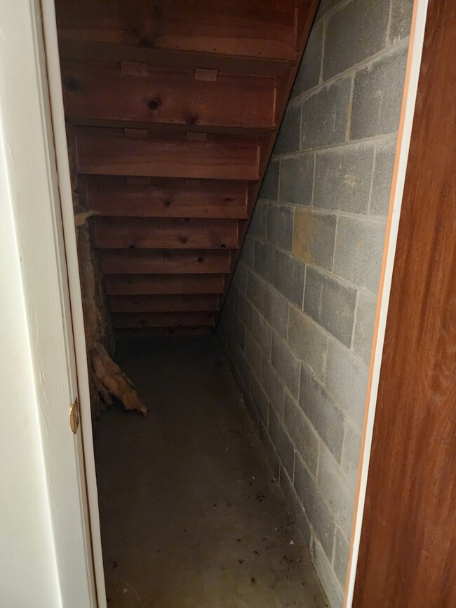 Under Stairs Storage - 210 Brookside Ln