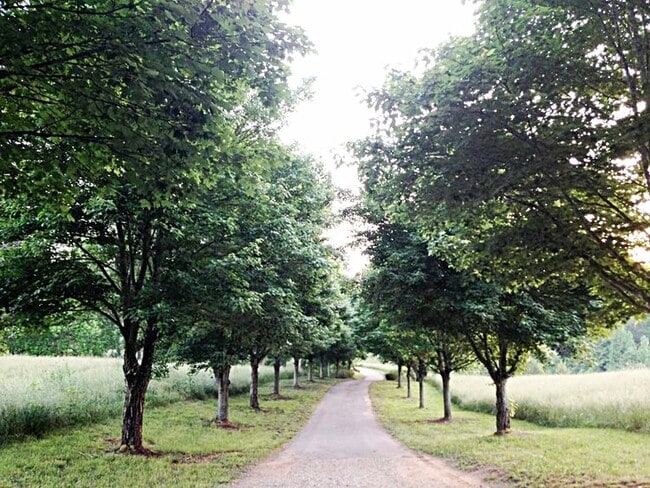 Building Photo - 104 Trinity Pond Road