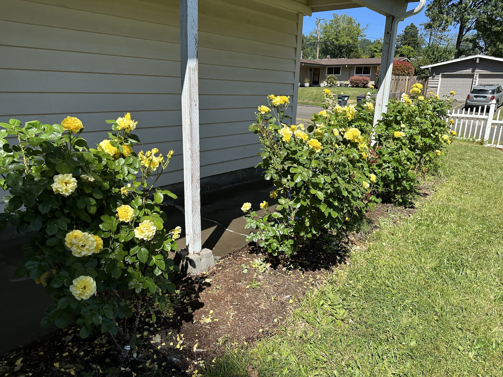 Building Photo - 13067 SW 63rd Pl