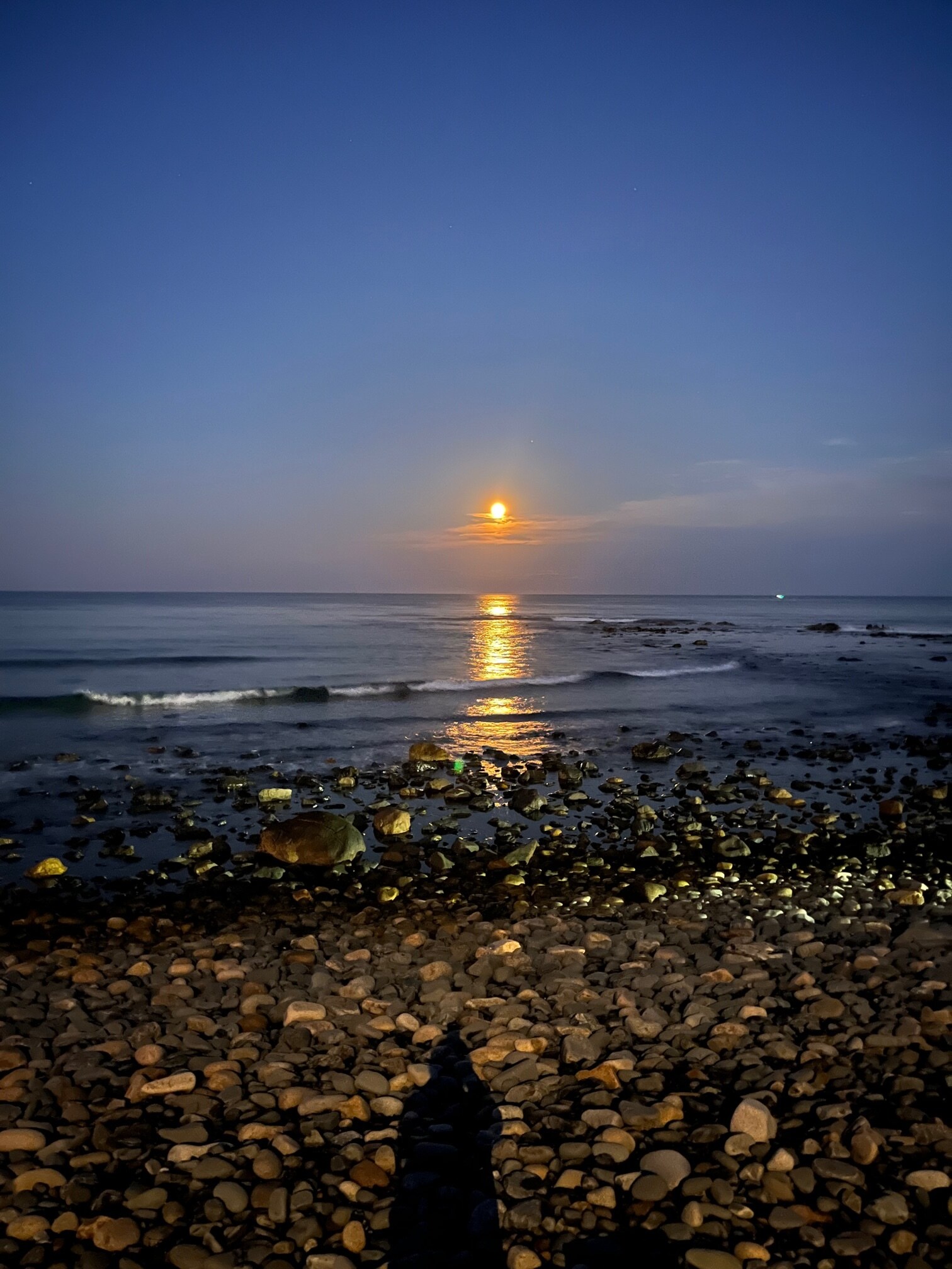 Building Photo - 790 York St