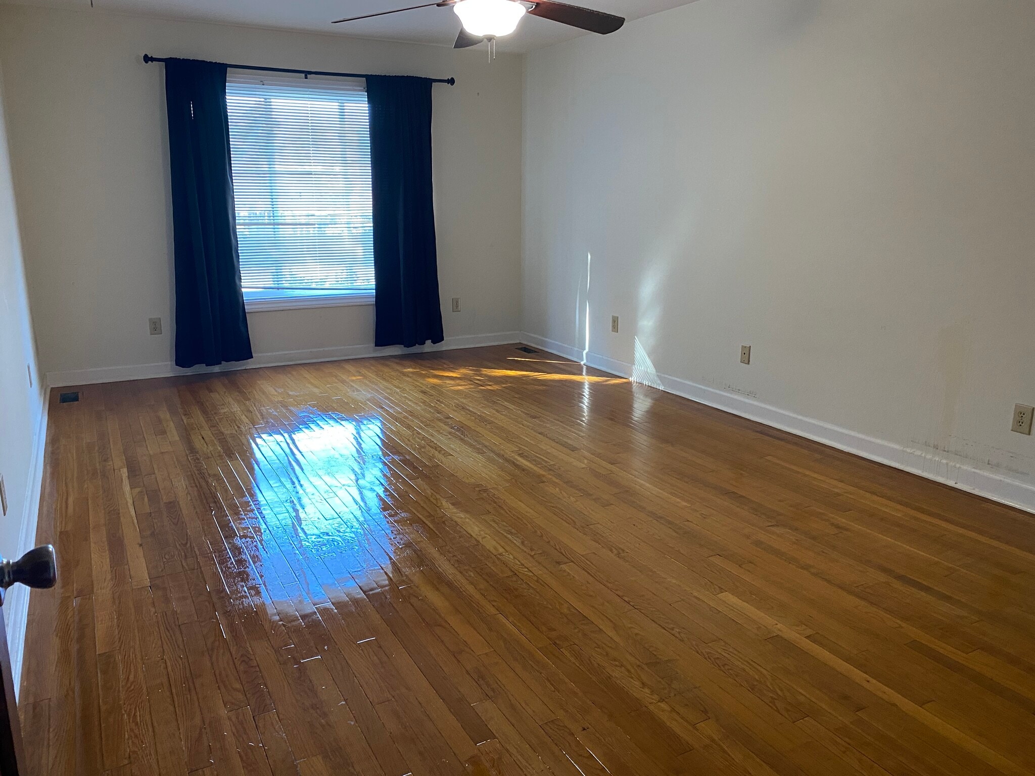 Master bedroom - 1229 Clemson Rd
