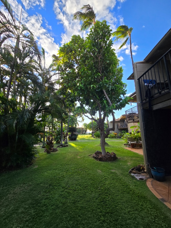 Building Photo - 3559 Lower Honoapiilani Rd