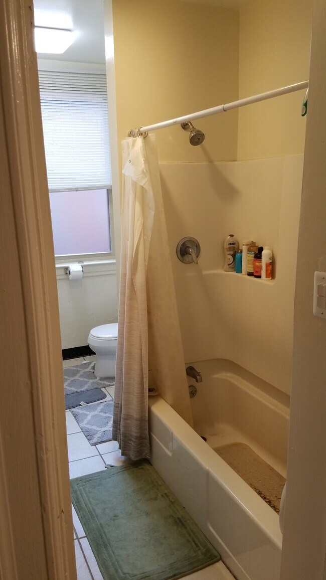 Bathroom - 341 S Bouquet St