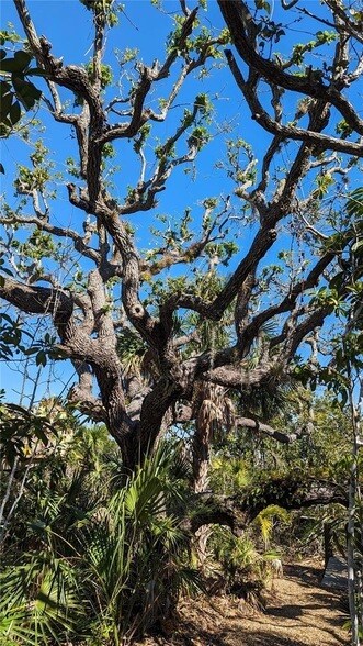 Building Photo - 7475 Manasota Key Rd