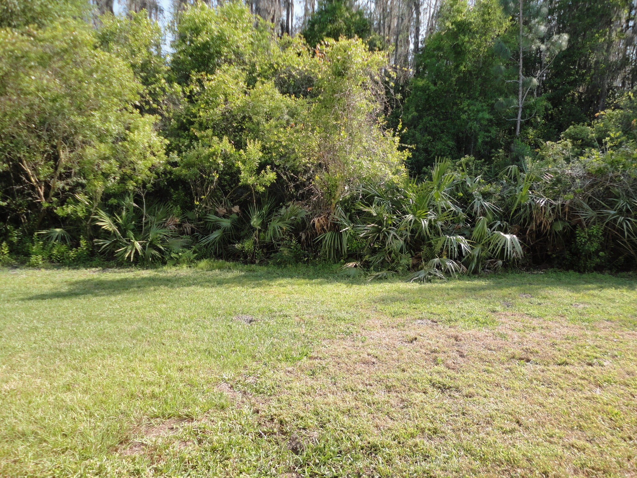 Building Photo - 30450 Wrencrest Dr