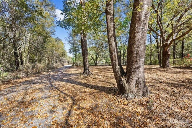 Building Photo - 4205 Elvis Presley Dr