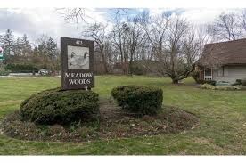 Main entrance to Meadow woods Lane - 813 Meadow Woods Ln