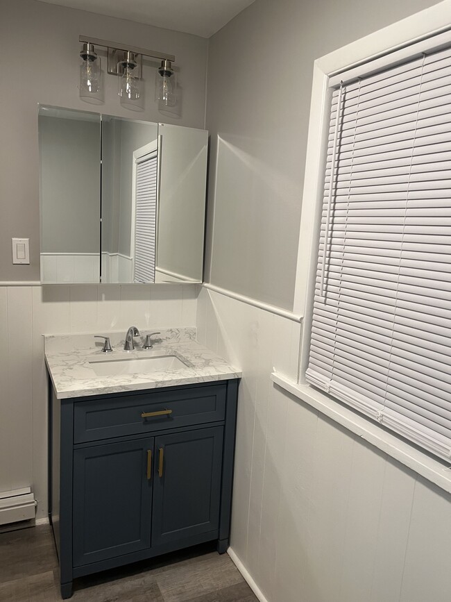 Newly Updated Bathroom - 1160 Abbott Blvd