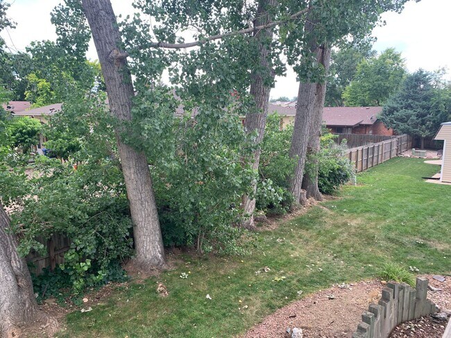 Building Photo - Great 3 Bedroom 1 Bath in Loveland!